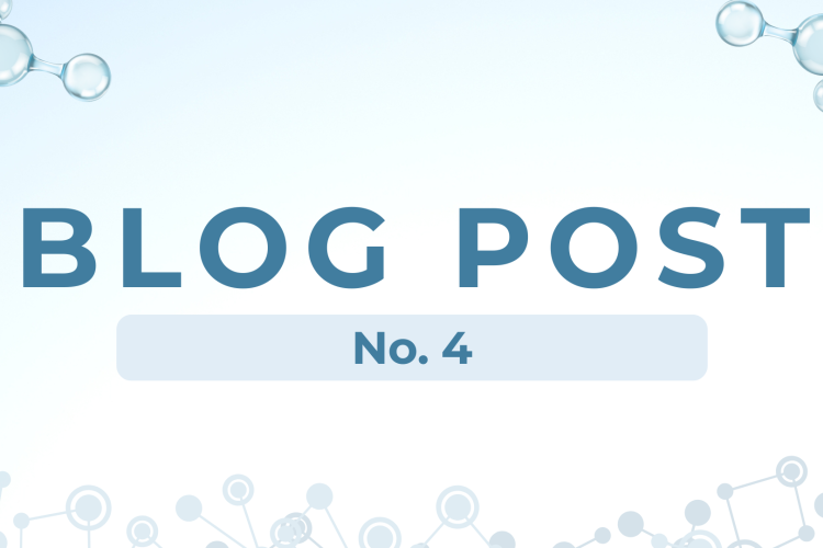 blog post 4
